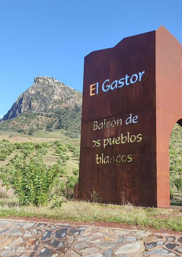 Villa Casa El Almendro El Gastor Esterno foto